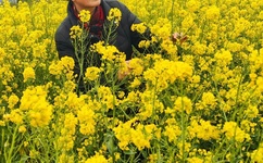 新闻里戴绿鱼头套男孩发声